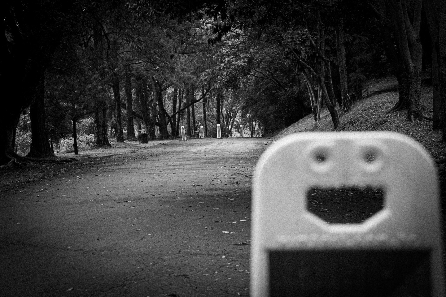 Aparições, fotografia da coleção Silêncio