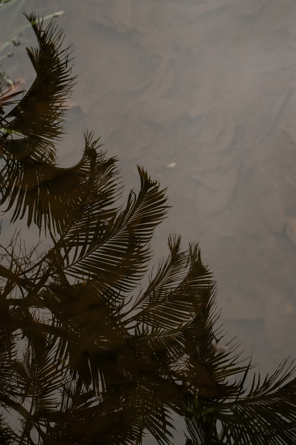 Visão ao Inverso, fotografia da coleção Silêncio